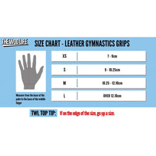 Load image into Gallery viewer, The WOD Life - Leather Gymnastics Grips - Pink
